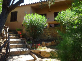 Villa Averla-con giardino tra graniti e mare Costa Paradiso
